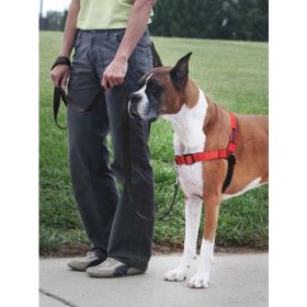 PetSafe Deluxe Easy Walk Steel Dog Harness Black; Rose Large